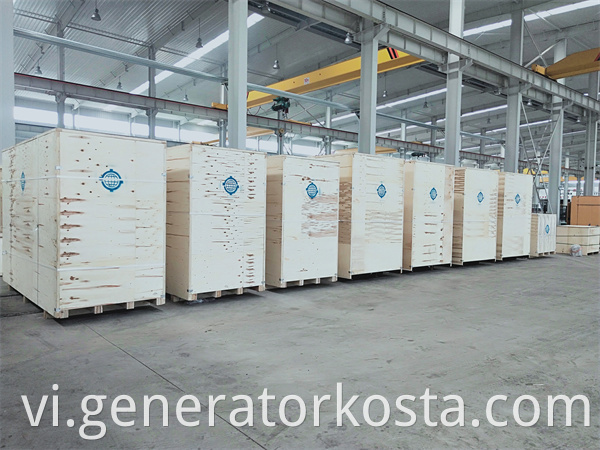 Diesel Generator Set 